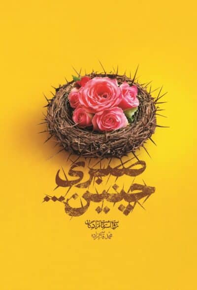 صبری چنین - تصویر 2