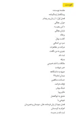 بخشدار 14 ساله - تصویر 3