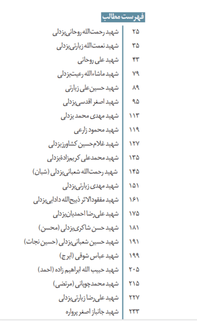 با ستارگان یزدل - تصویر 4