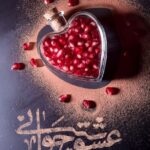 عشق جوانی (خاطرات شفاهی سعید ریاضی‌پور)