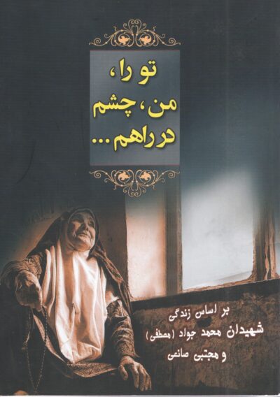 تو را من چشم در راهم - تصویر 2