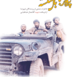 پرواز با بال شکسته