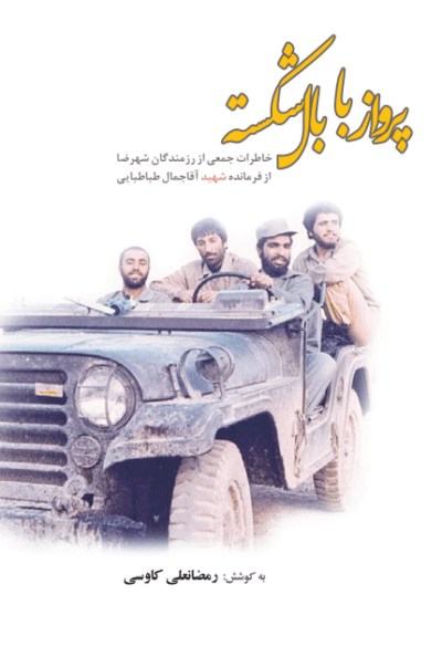 پرواز با بال شکسته - تصویر 2