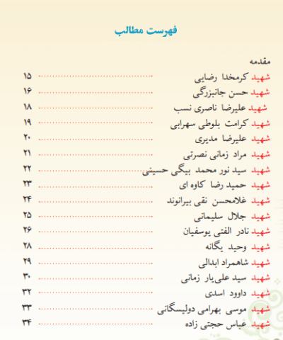 رزم پایدار - تصویر 4