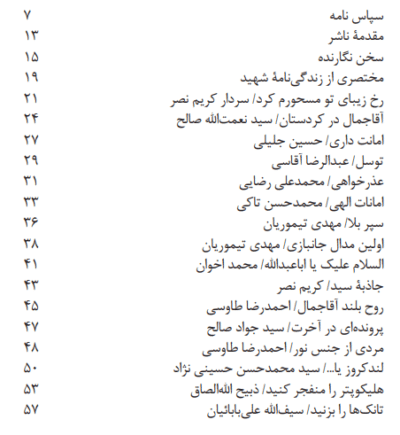 پرواز با بال شکسته - تصویر 4