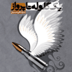 یک گلوله تا پرواز