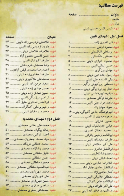 هویت پروانه ‌ها (یادنامه شهدای شهرستان نایین) - تصویر 4