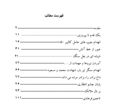 یک گلوله تا پرواز - تصویر 4