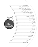 یکی پس از دیگری (گذری بر زندگی شهیدان کبیری) - تصویر 4