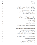 آتش باران - تصویر 4