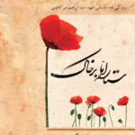 ستاره اما بر خاک: زندگی‌نامه داستانی شهید سیدابراهیم میرکاظمی