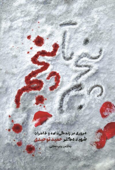 پنجم تا پنجم - تصویر 2