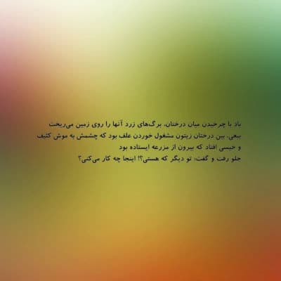 مزرعه زیتون - تصویر 4